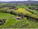 Traditional farmhouse in complete privacy, surrounded by olive groves in Girona, Costa Brava.