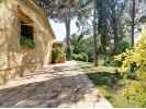 40-Hectare Equestrian Paradise Estate in Girona, Costa Brava - picture 11 title=