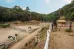 For sale fully operational equestrian center, ideal for commercial or residential use. - picture 16 title=